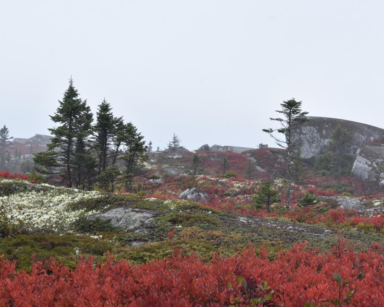 Nova Scotia