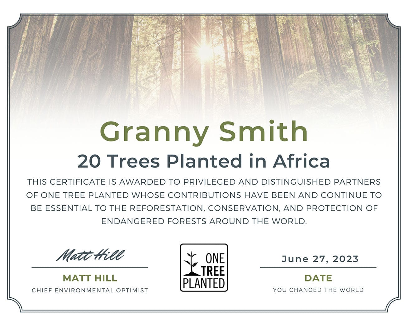 AFR100: Plant Trees for Africa