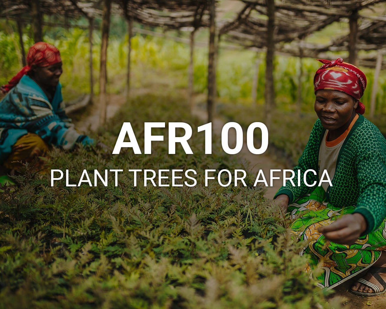 AFR100: Plant Trees for Africa