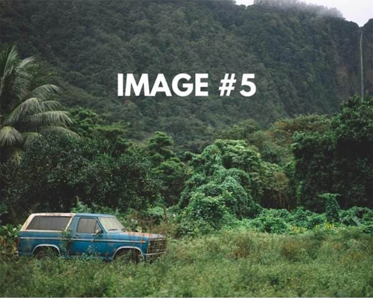 Custom Greeting Card