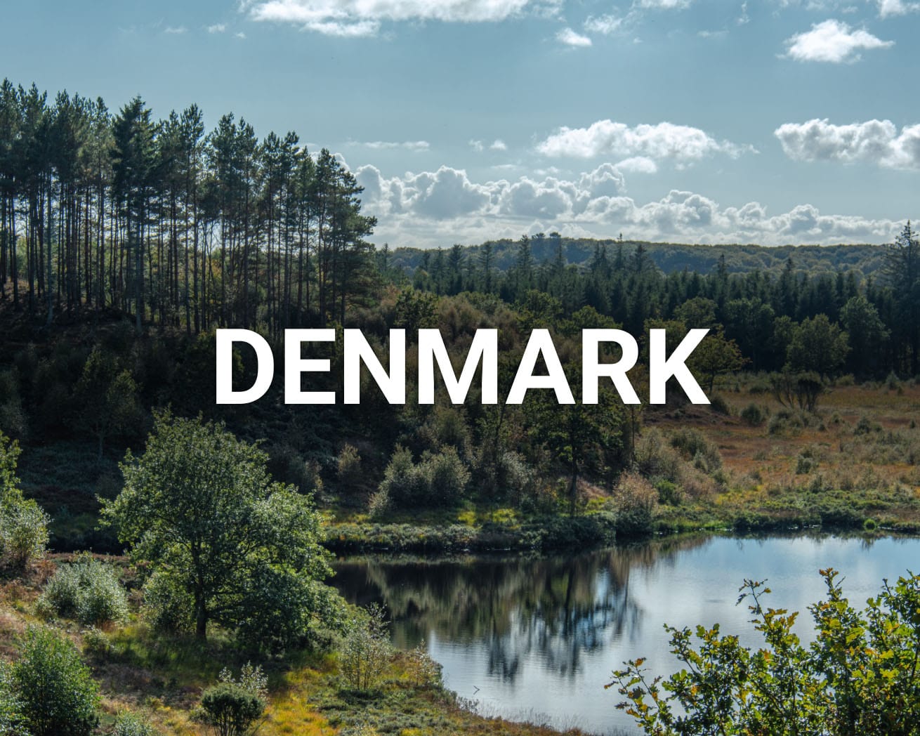 Trees and lake in Denmark