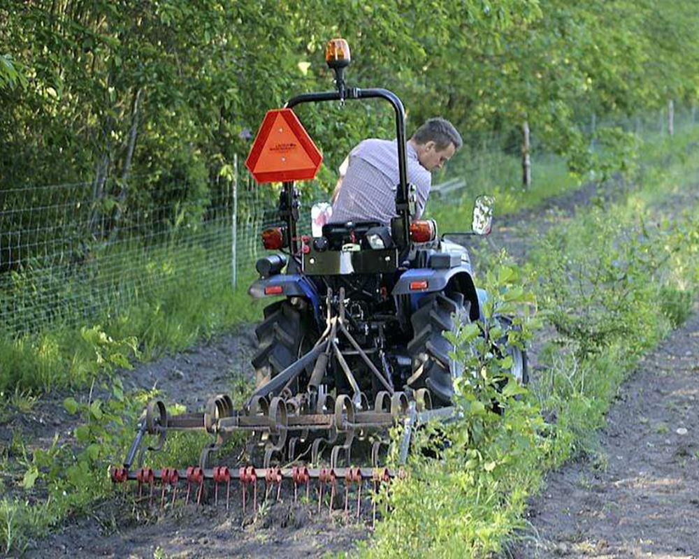 Seeding trees farm