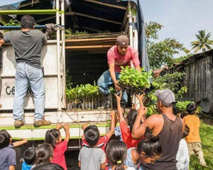 Guatemala