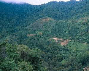 Honduras