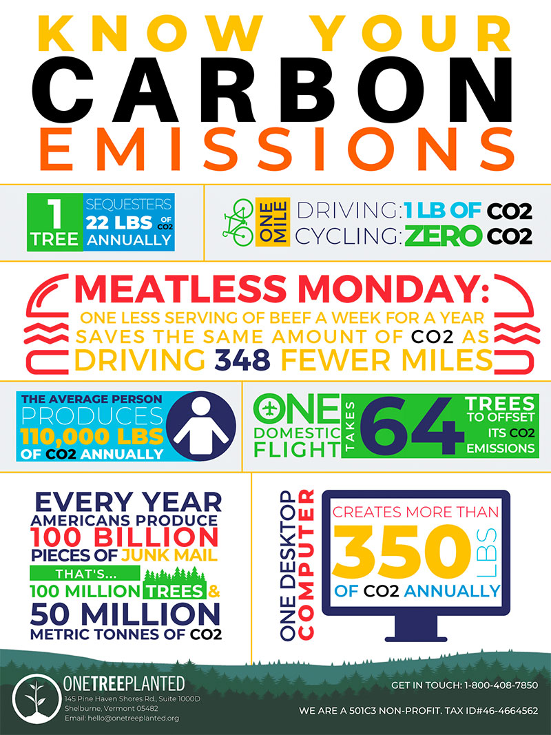 Know Your Carbon Emissions Poster