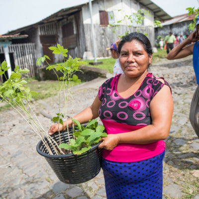 Guatemala local community