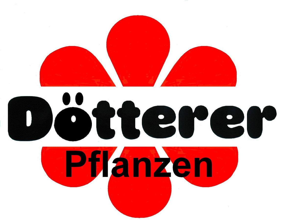 Dotterer