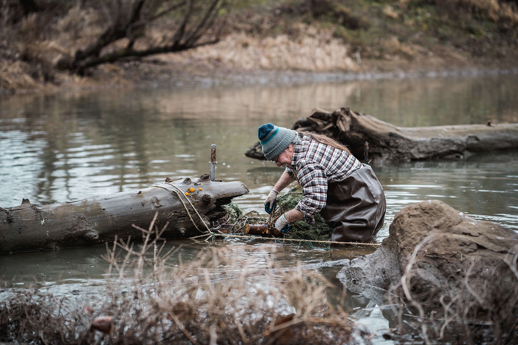 riparian restoration pacific northwest