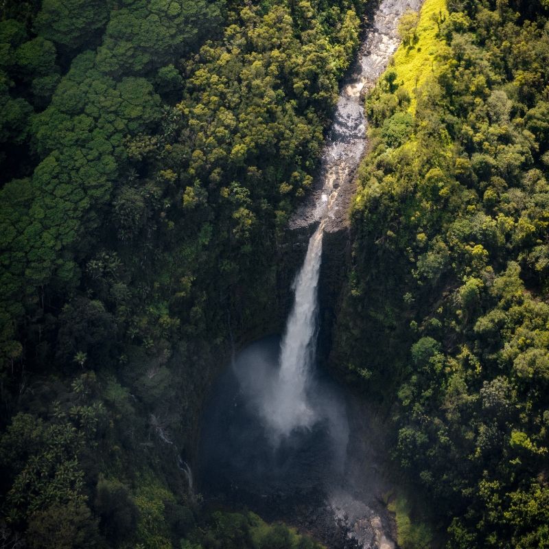 Waterfall in forest