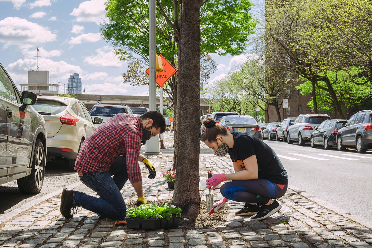 Urban forestry - man and woman planting