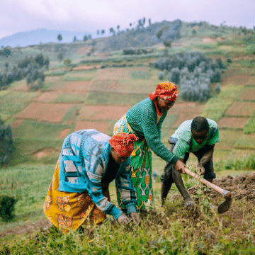 Women planting trees in Rwanda