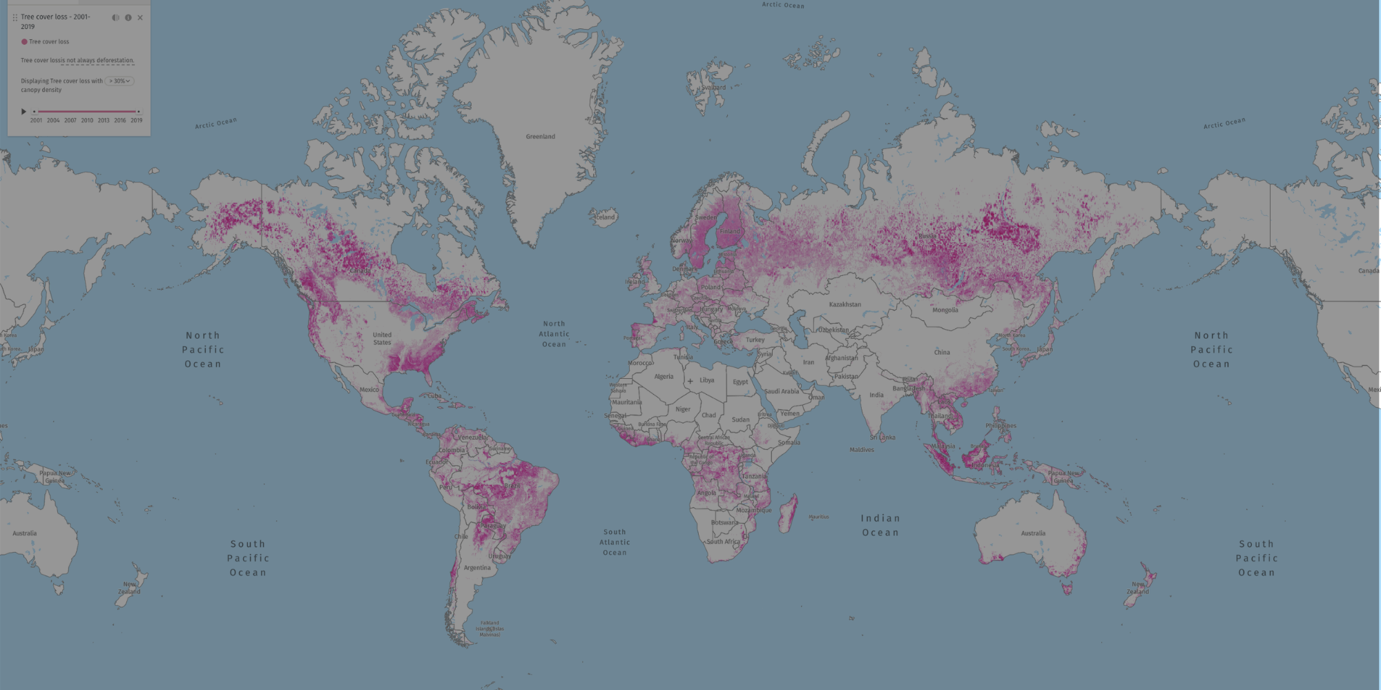 Global Forest Watch Deforestation World Map